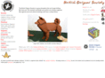 britishorigami.info