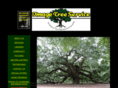 imagetreeservice.com