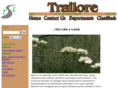 trailore.com