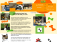 allpawsinnpetsitters.com