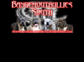 bangemoutbulliessouth.com