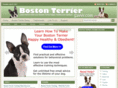 bostonterriersavvy.com