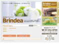 brindea.com