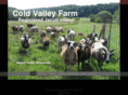 coldvalleyfarm.com