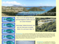 islandhorizonsvi.com