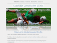 nyconcussionclinic.com