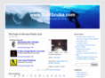 surfscuba.com