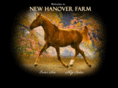 newhanoverfarm.com