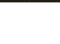randysguns.com