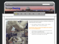 scopeseeing.com