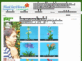 thaiclayflower.com