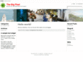 thebigpixel.com