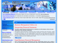 business-management-online.com