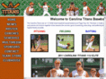 carolinatitansbaseball.com