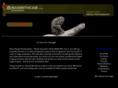 manwithcam.com