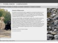 pebblemor.com