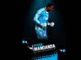 stevemandanda.net