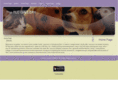 thetlcgallery.com