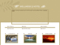 wellnessinhotel.it