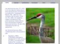 auk.com