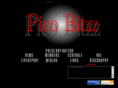 picopicobitzz.com