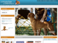 vcaweb.org