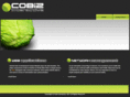 cobiz-interactive.com