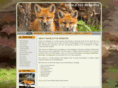 doublefoxwebsites.com