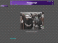 joergrauschenberger.com