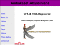 ambakasetabyssinians.com