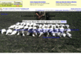 louisianaretrievertrainer.com