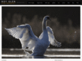 royglen.co.uk