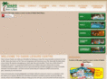 jumpingetwethavefun.com