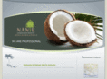 nanye.com