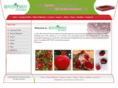 santoshexports.com