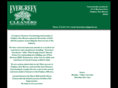ruidosoevergreencleaners.com