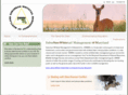 swmminc.com