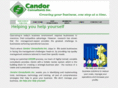 candorconsultantsinc.com