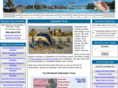 clearwatertours.com