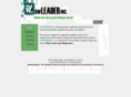 swleader.com