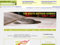 thewriteauthorcoach.com