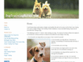 dogtrainingrules.com