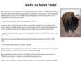 manynationstribe.com