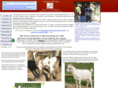 sffaintinggoats.com