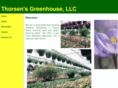 thorsensgreenhouse.com