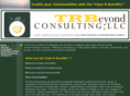 trbeyondconsulting.com