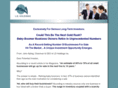 babyboombusinesstransition.com