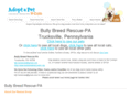 bullybreedrescuepa.com