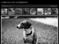 chromaticaversion.com