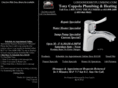derry-plumbers.com